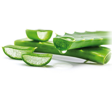 Перчатки одноразовые латексные 24см. 6,2 гр. L600-L Толщина 0,12мм / REFLEXX 