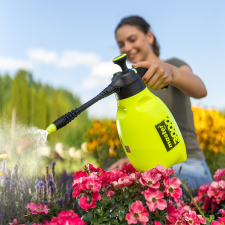 Ручной садовый помповый опрыскиватель Master ergo 3000 со штангой 30 см, Marolex