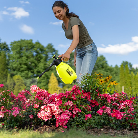 Ручной садовый помповый опрыскиватель Master ergo 3000 со штангой 30 см, Marolex
