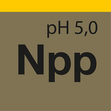 Nano Pure Polish - Высокопенистый полироль для автоматической мойки