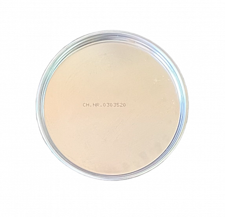 Шпатлевка с оксидом титана Бежевая 2кг Elastic beige+отверд компл CARSYSTEM